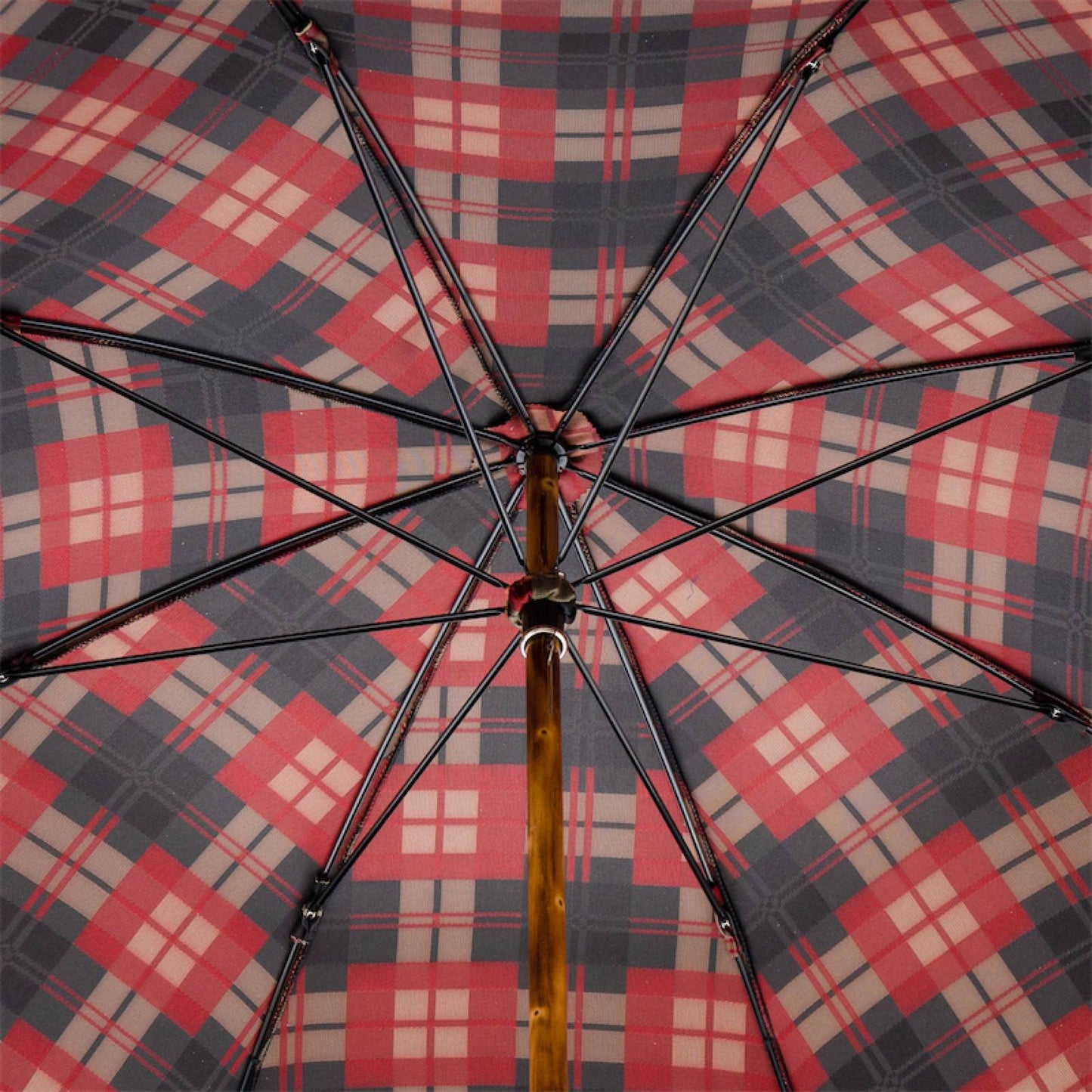 PASOTTI Oryx Horn Umbrella