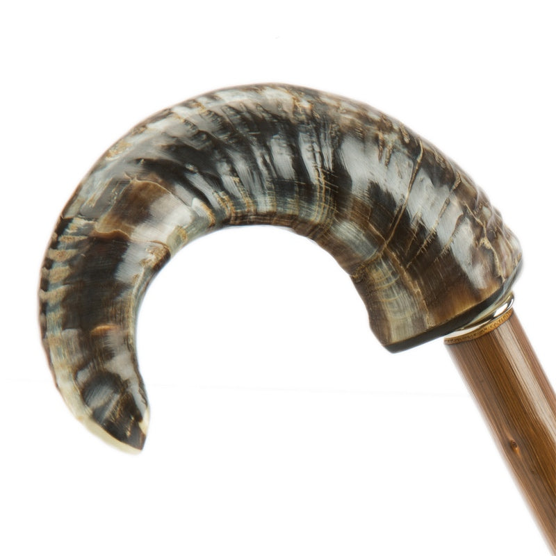 PASOTTI Mutton Horn Umbrella