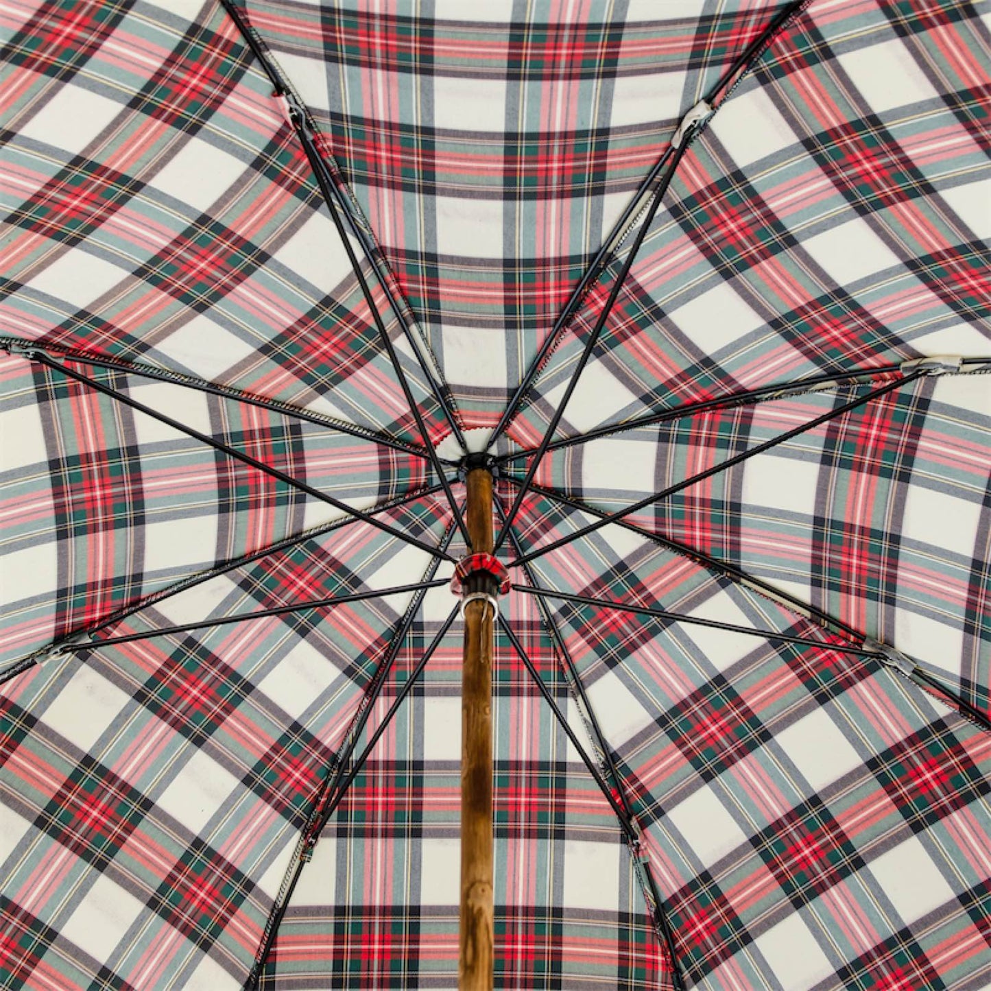 PASOTTI Umbrella Tartan Classico