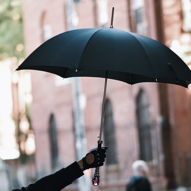 PASOTTI Black Mens Umbrella with Luxury Red Gem Handle