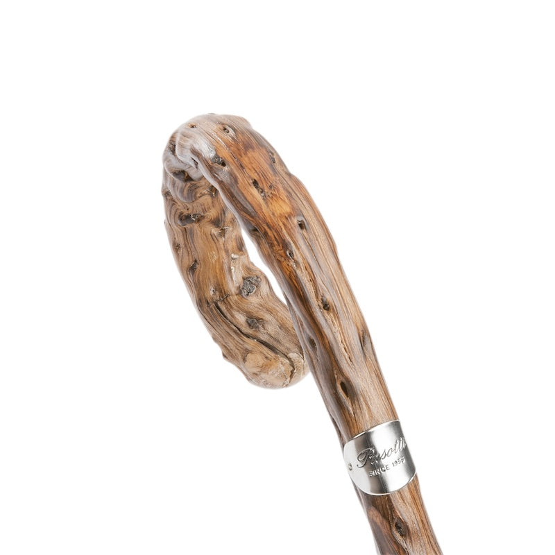 PASOTTI Navy Umbrella with Gorse Wood Handle