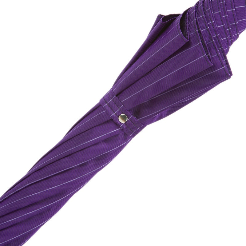 PASOTTI Purple Umbrella with Silver Lion Handle