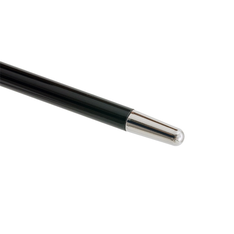 PASOTTI Billiard Pool 8-Ball Cane