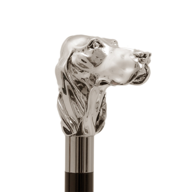 PASOTTI LUXURY Dog Umbrella