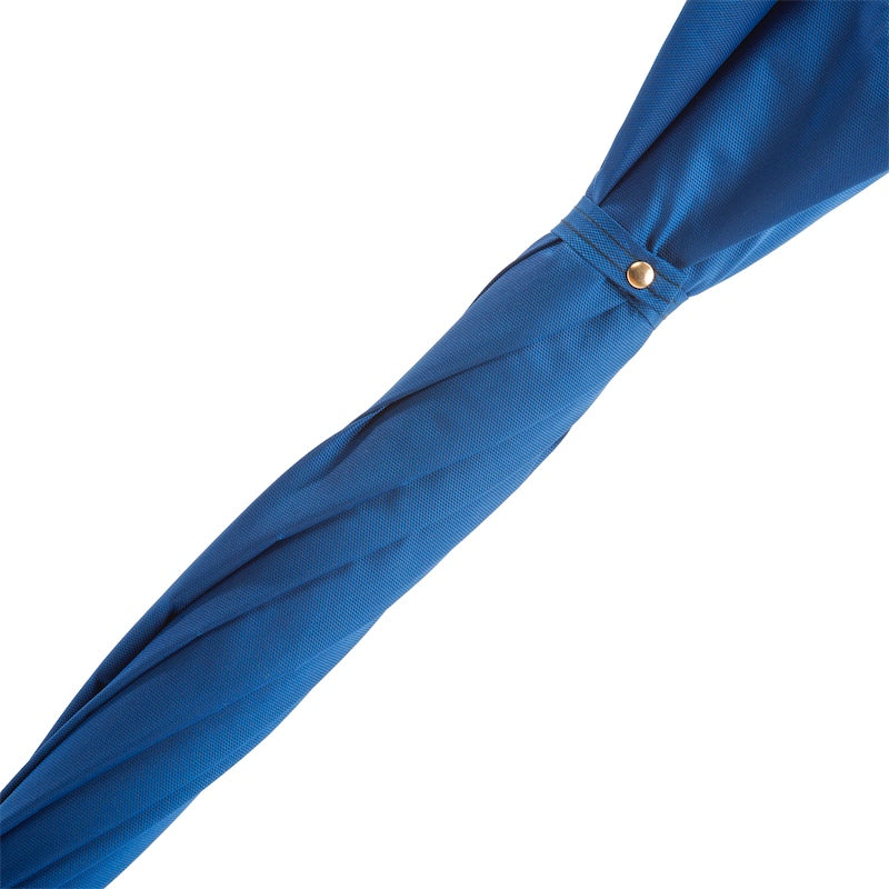 PASOTTI Blue Umbrella with Gold Lion Handle