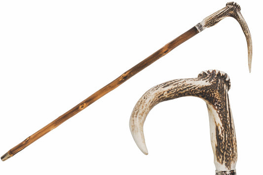 PASOTTI Deer Antler Cane