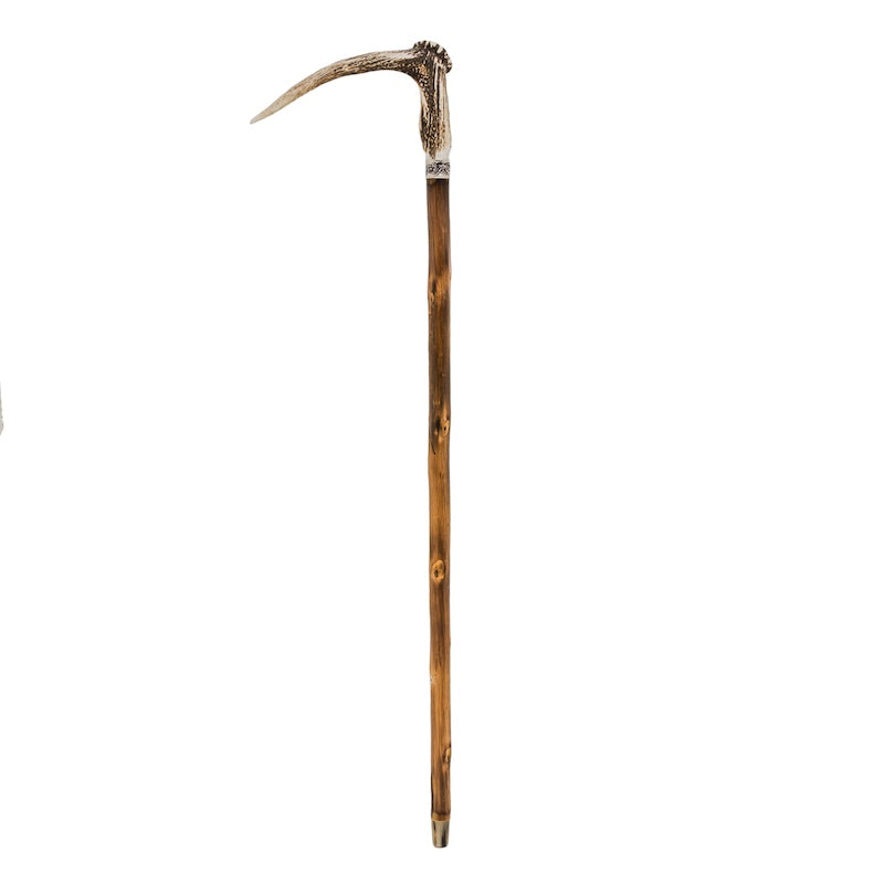 PASOTTI Deer Antler Cane