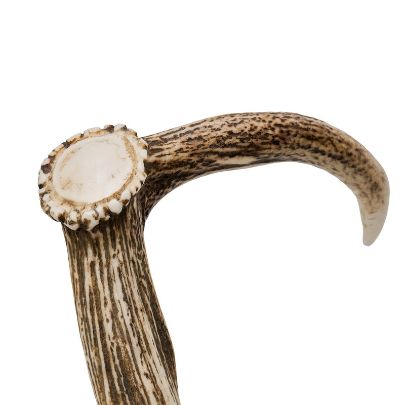 PASOTTI Deer Antler Cane