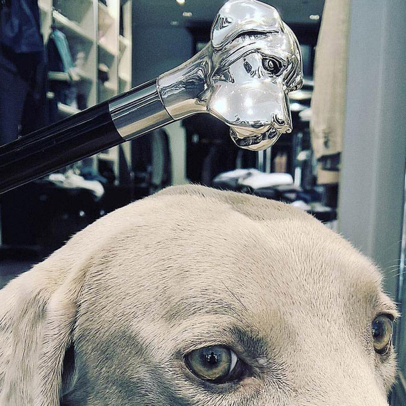 PASOTTI Labrador Umbrella