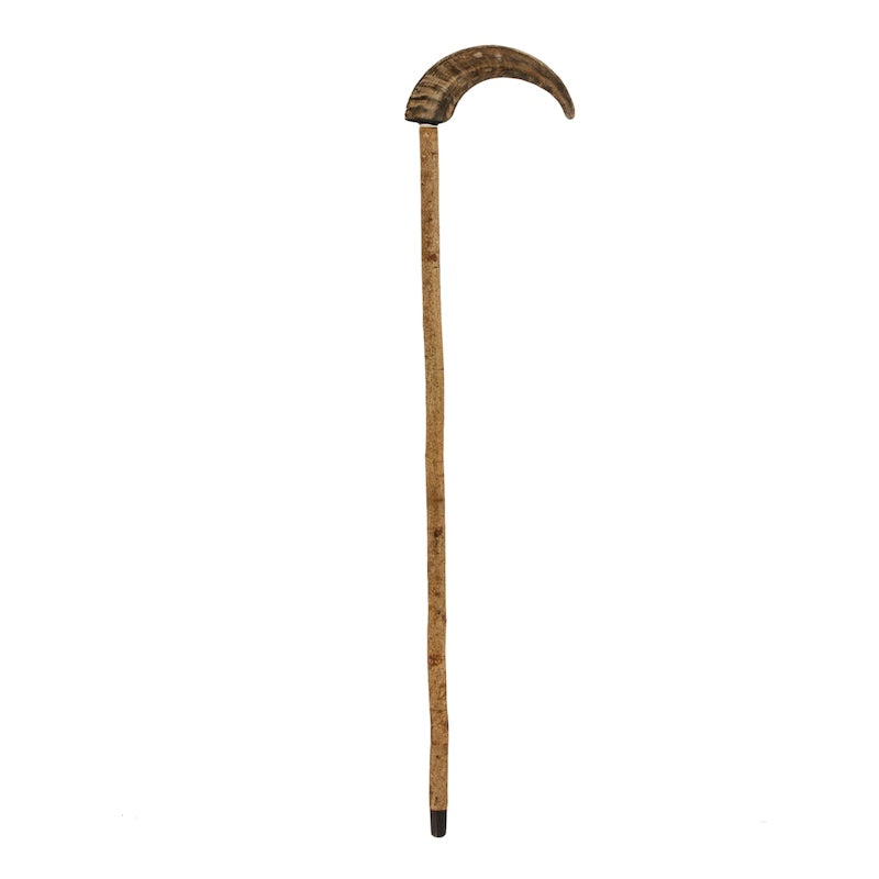 PASOTTI Mutton Horn Cane