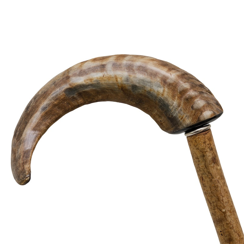 PASOTTI Mutton Horn Cane