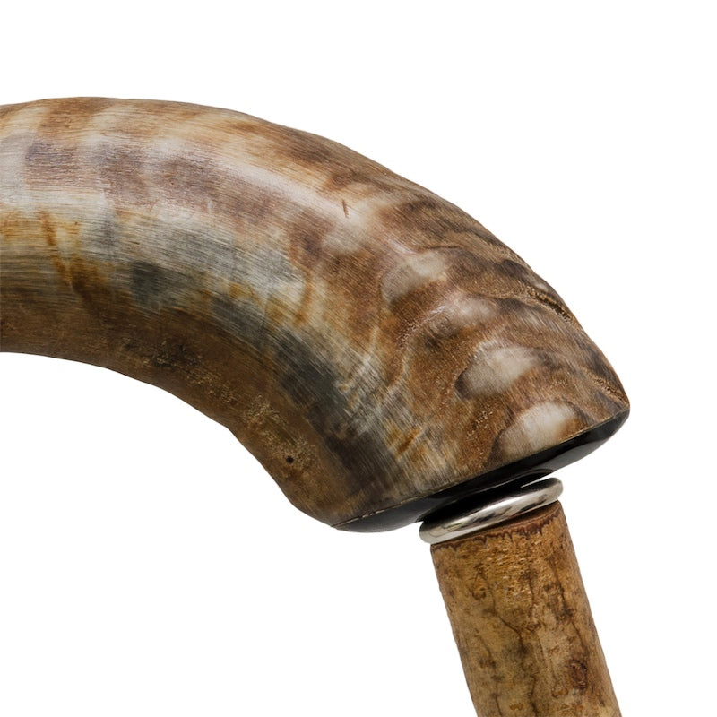 PASOTTI Mutton Horn Cane