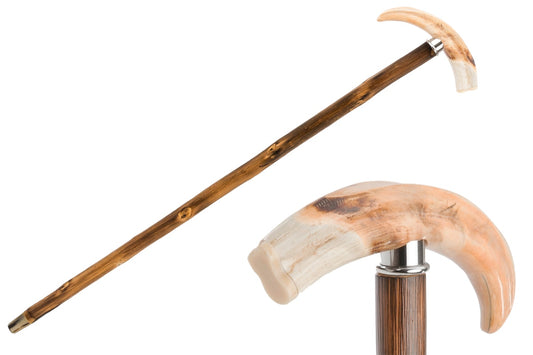 PASOTTI Warthog Tusk Cane