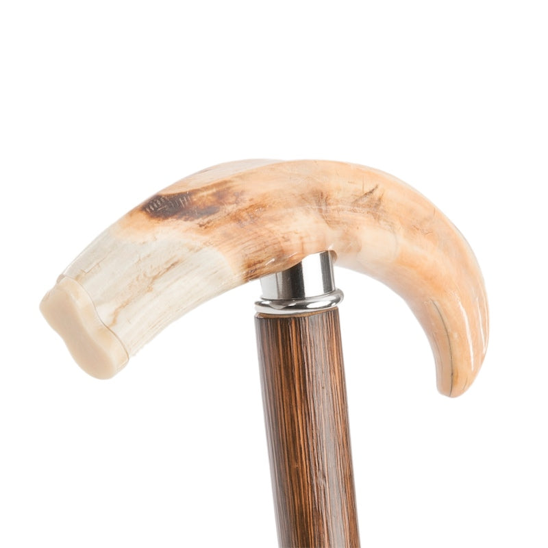 PASOTTI Warthog Tusk Cane