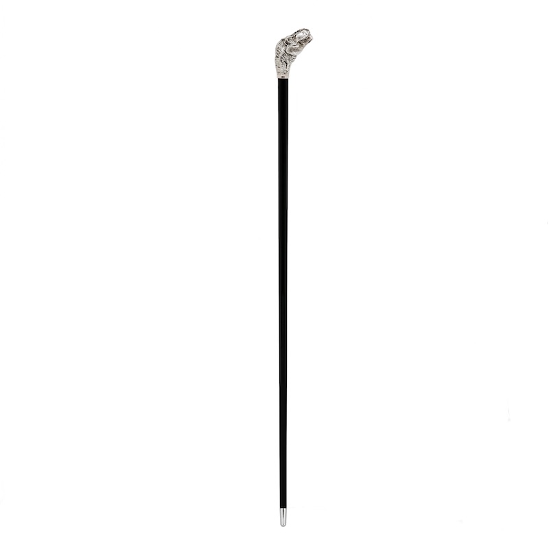 PASOTTI T-Rex Cane