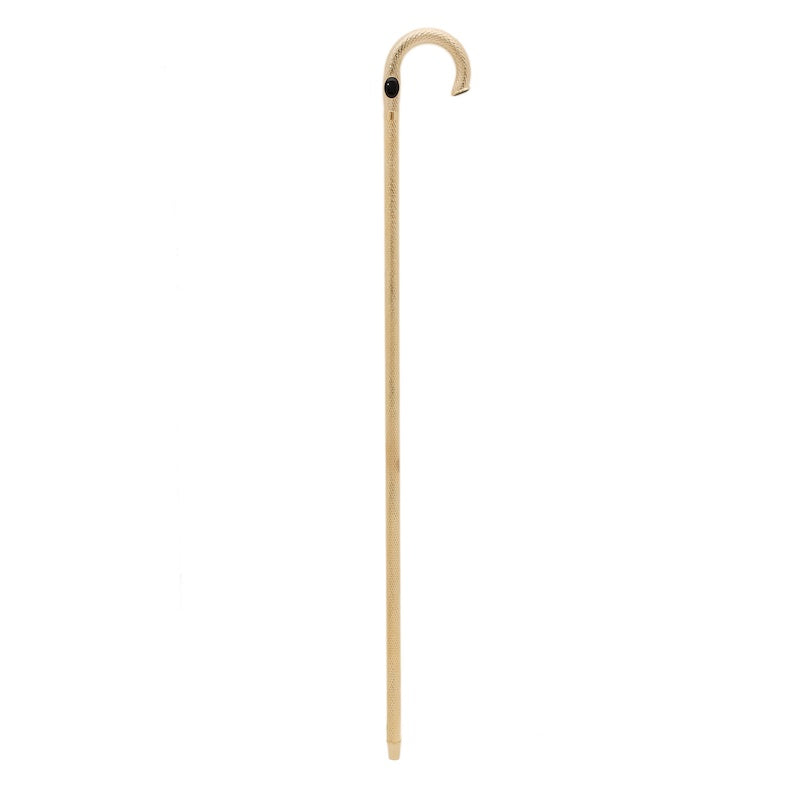 PASOTTI Precious Brass Cane