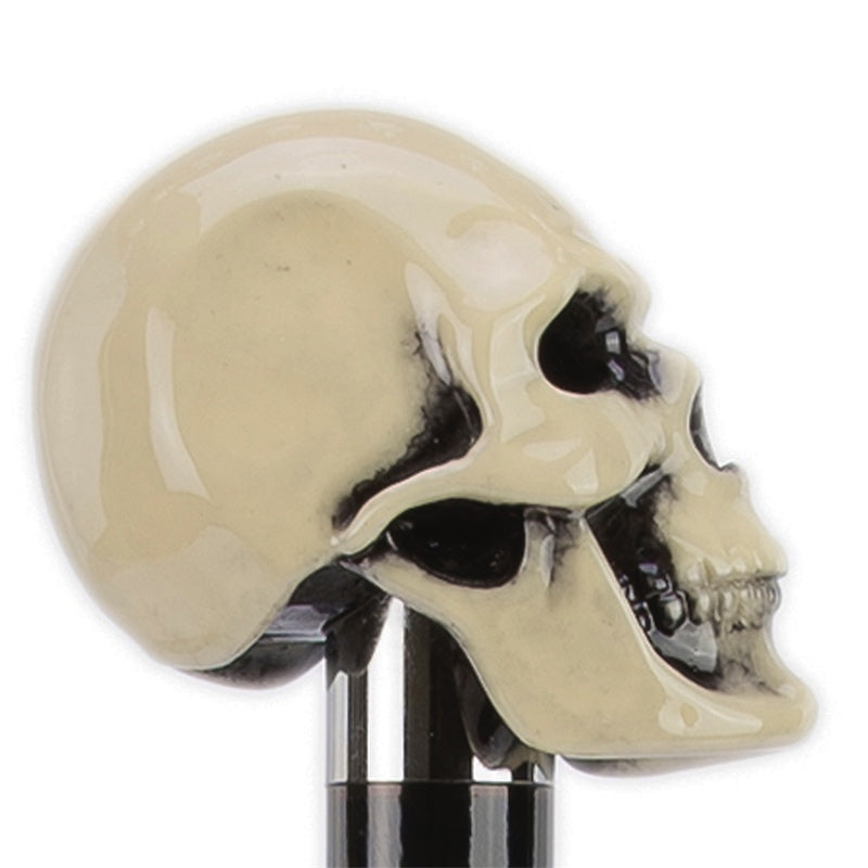 PASOTTI Bone Skull Cane