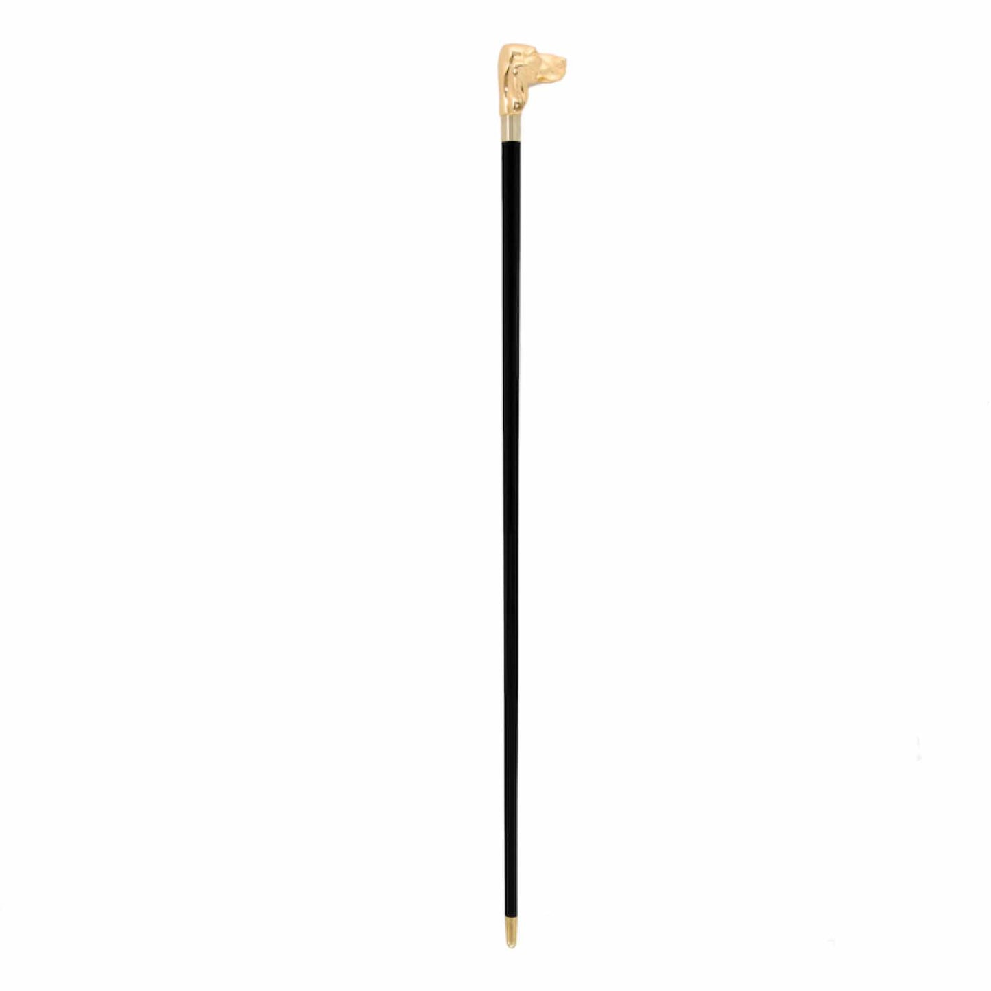 PASOTTI Golden Fido Cane