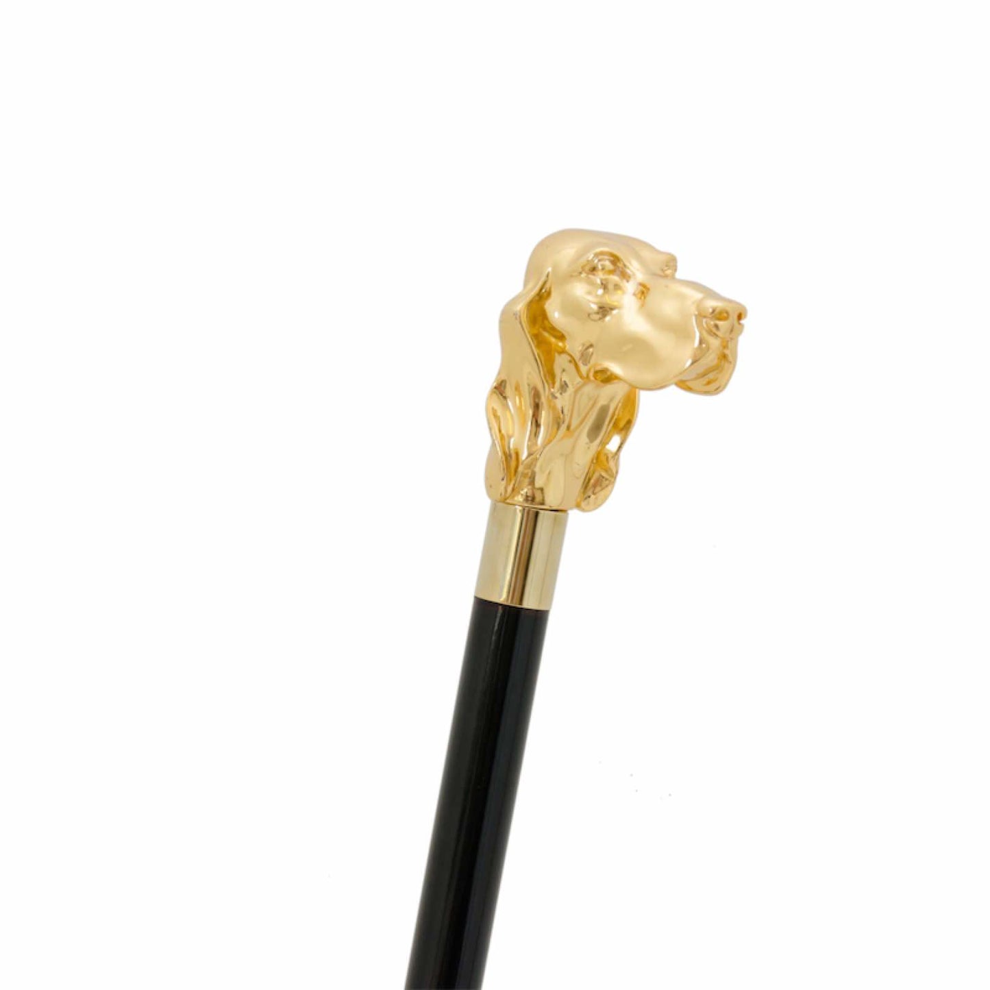 PASOTTI Golden Fido Cane