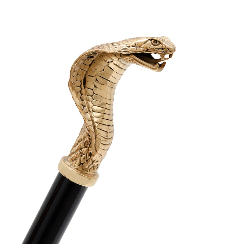 PASOTTI Golden Cobra Shoehorn