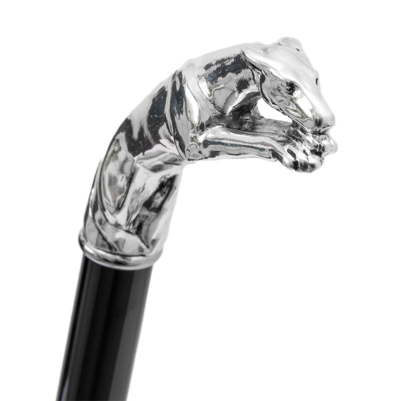 مظلة PASOTTI Silver Greyhound