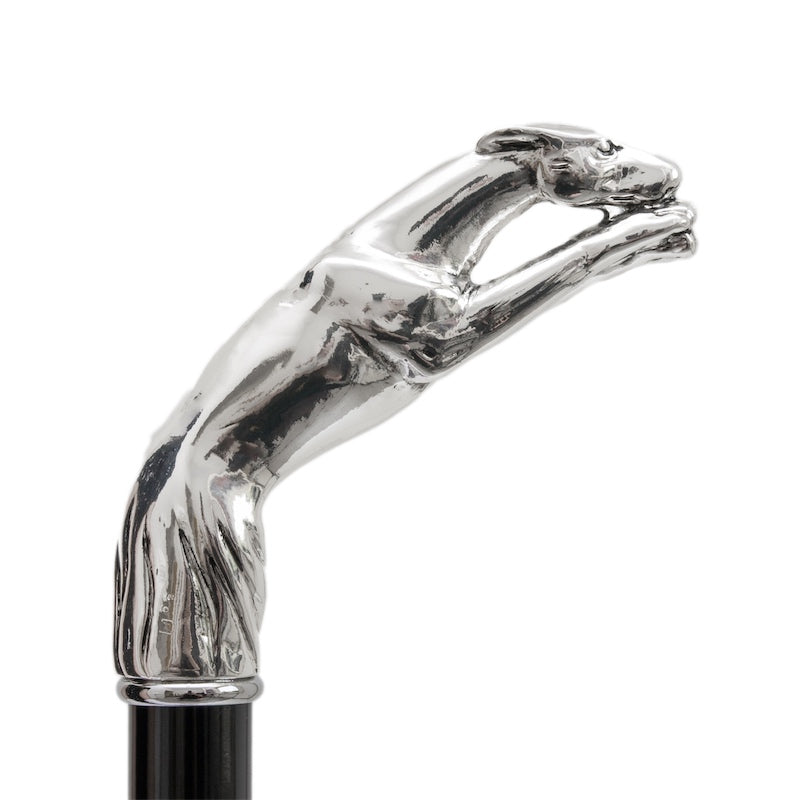 مظلة PASOTTI Silver Greyhound