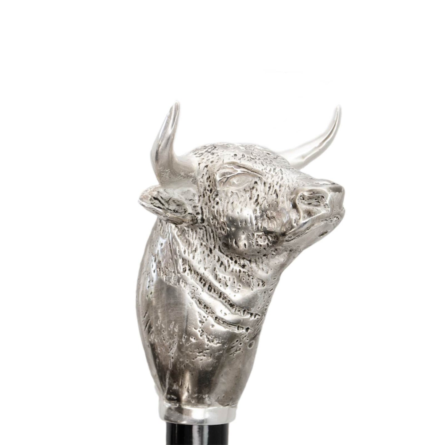 حذاء PASOTTI Bull