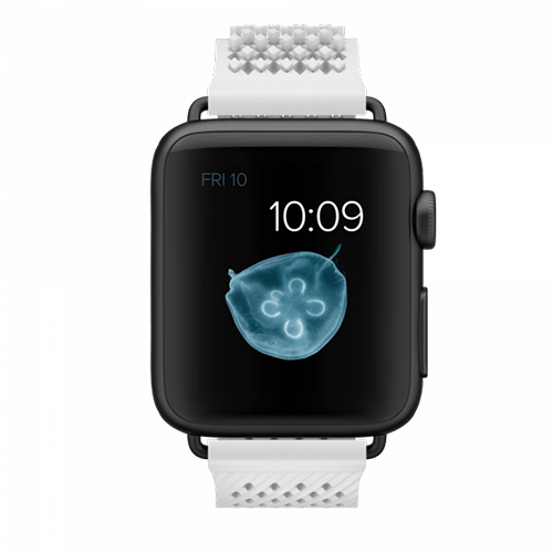 noomoon-apple-strap-white-black-link